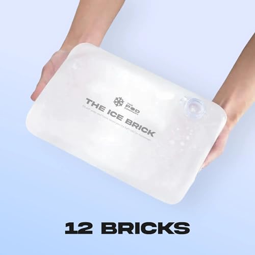 12 Pack Ice Brick (12 Count)