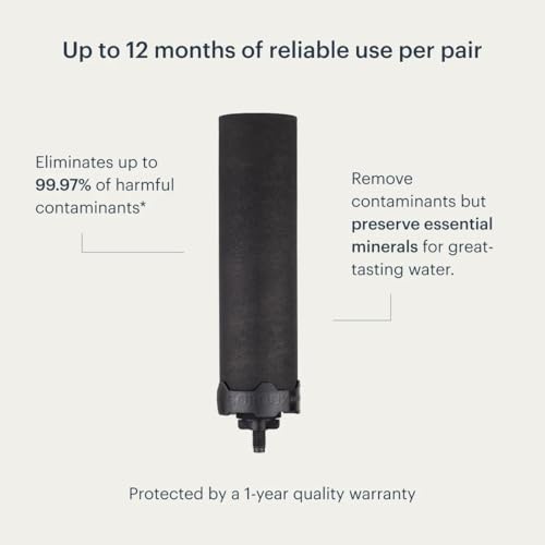 Foundation Black Replacement Water Filter