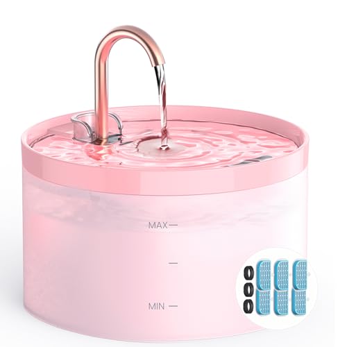 Cat Water Fountain for Cats Indoor