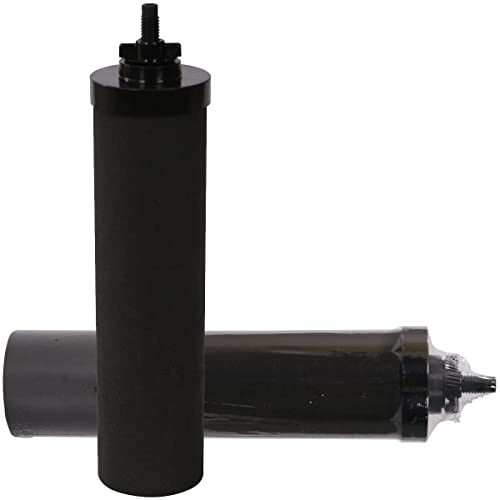 2PCS Black Water Filters