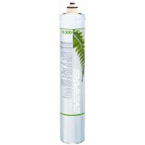 Pentair Everpure H