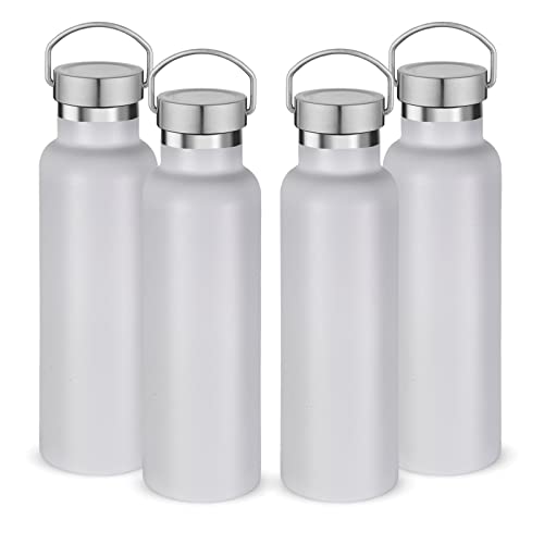 20 oz Insulated Water Bottles Bulk 4 Pack (4 Count)
