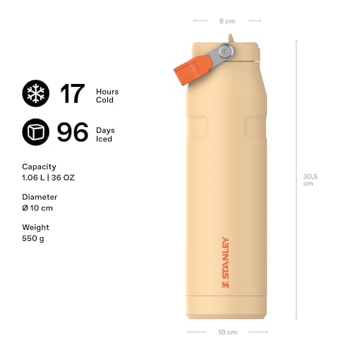 1913 Flip Straw Sports Water Bottle 1.06L