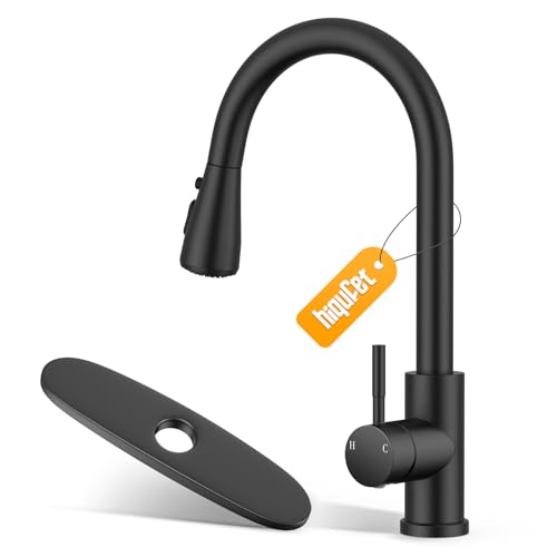 Kitchen Faucet