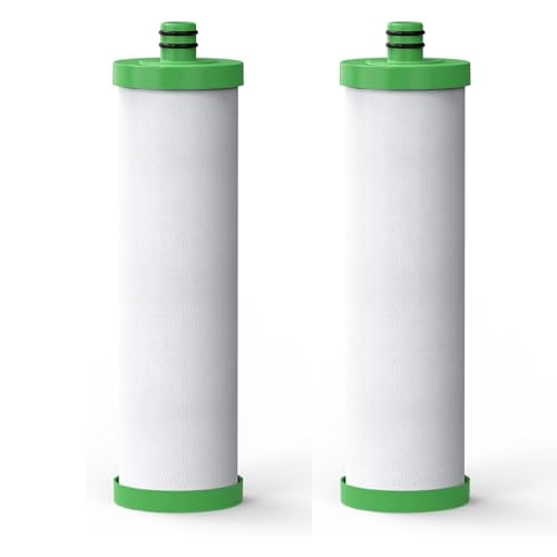 P1 Water Filter Replacement for TST (2 Count)