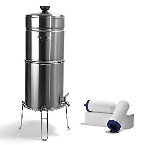 Big+ Gravity Water Filter System High Capacity Countertop Stainless Steel Water Filter Dispenser IAPMO Certified to Reduce Lead