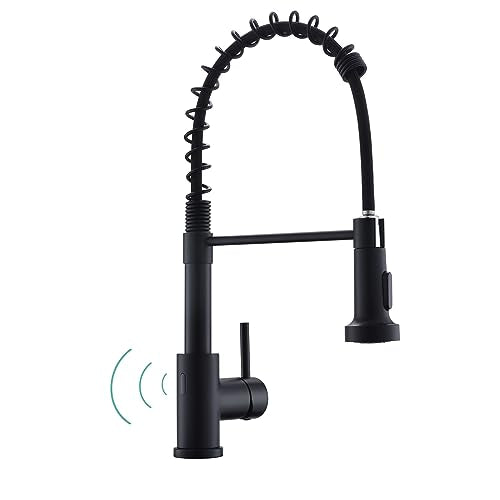 Touchless Kitchen Faucet