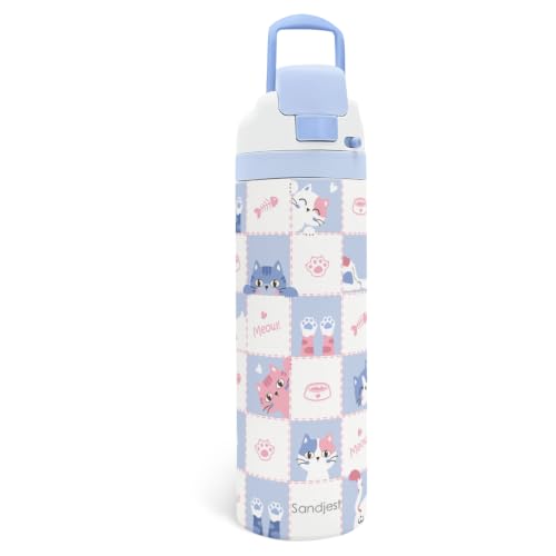 Cat Insulated Stainless Steel Water Bottle with Straw for Sports and Travel 24 Ounces for Women Girls Friends Teens Birthday