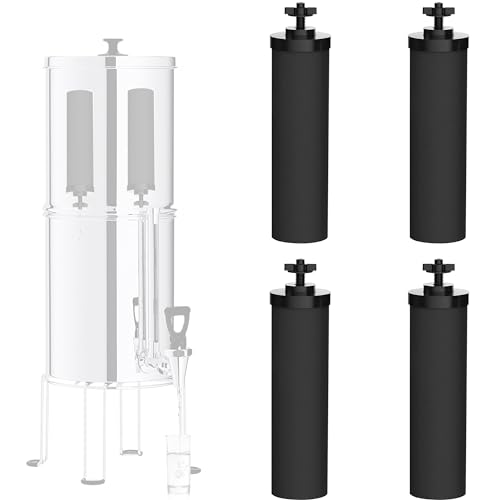 Black Filter 4 Packs by NSF (4 Count)