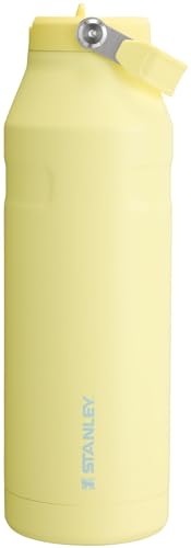 IceFlow Flip Straw 2.0 Bottle