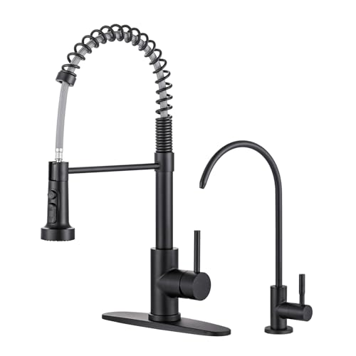 Kitchen Faucet and Water Filter Faucet