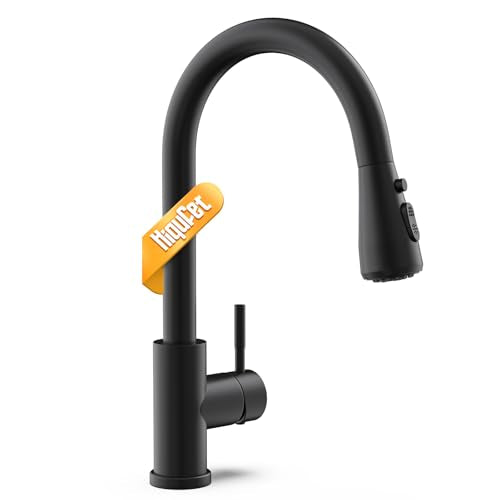Kitchen Faucet