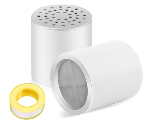 Shower Filter Replacement Cartridge (2 Count)
