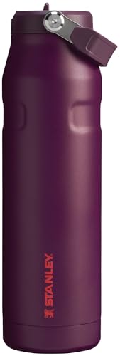 IceFlow Flip Straw 2.0 Bottle