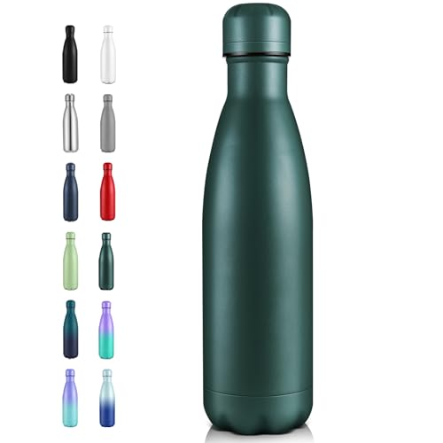 17oz Insulated Stainless Steel Water Bottle