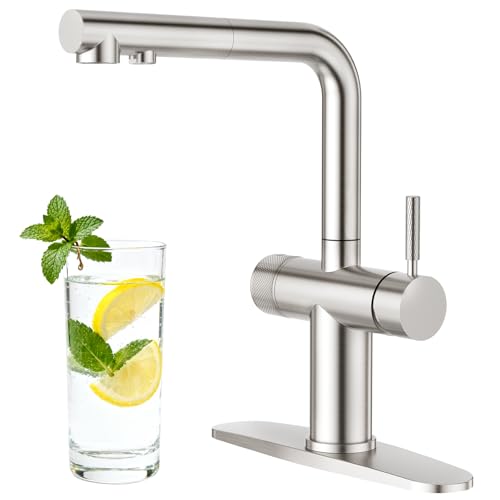 3 Way Kitchen Faucet with Pull Down Sprayer & Water Filter Built