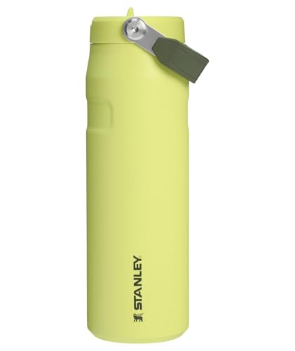 IceFlow Flip Straw 2.0 Bottle