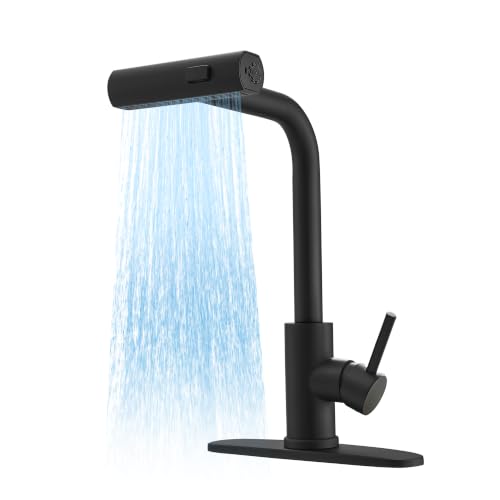 Kitchen Faucet with Pull Down Sprayer