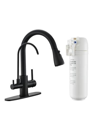 3 in 1 Black Kitchen Faucet with Pull Down Sprayer and Water Filter