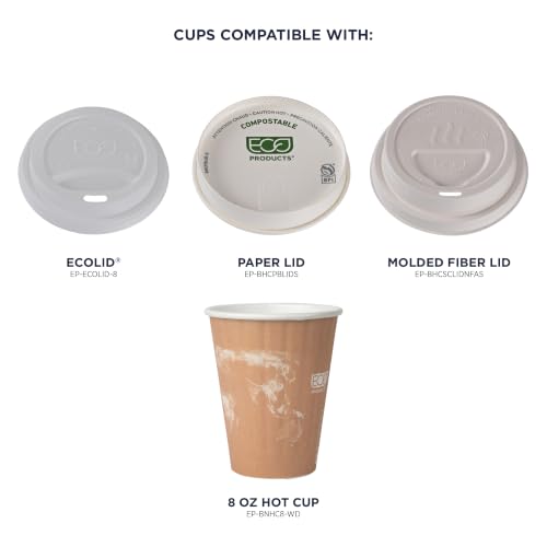 World Art Disposable Insulated Coffee Cups (40 Count)