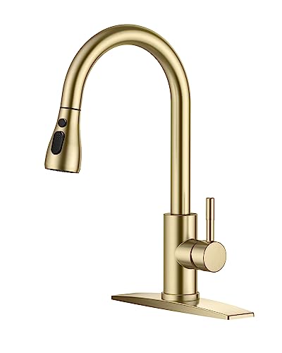 Gold Kitchen Faucet with Pull Down Sprayer