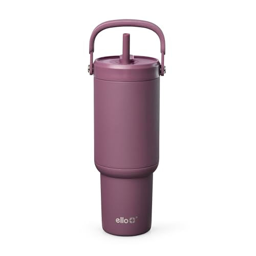 Oasis Go+ 26oz Insulated Stainless Steel Tumbler with Straw