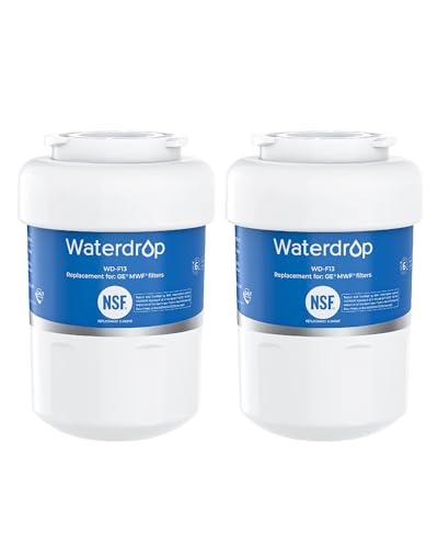 WD F13 Replacement for GE® MWF® Refrigerator Water Filter (2 Count)