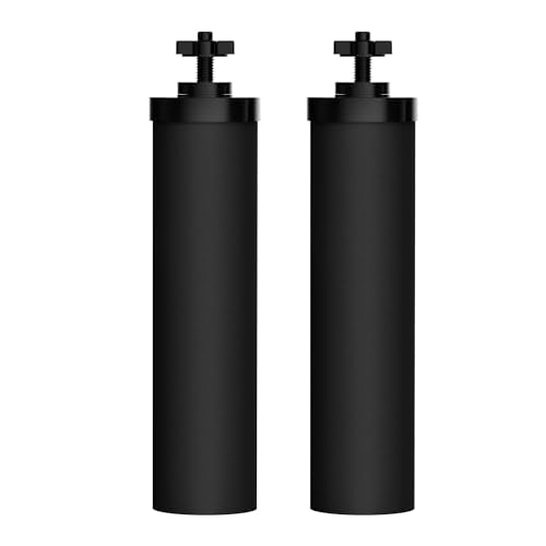 Black Water Filter (2 Count)