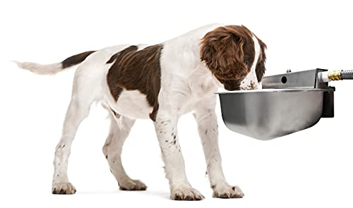 Nelson Rust Proof Stainless Steel Outdoor Automatic Dog Waterer Bowl