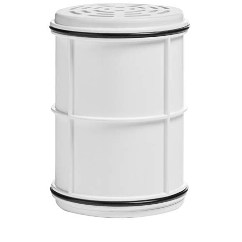 Chlorine Shower Water Filter