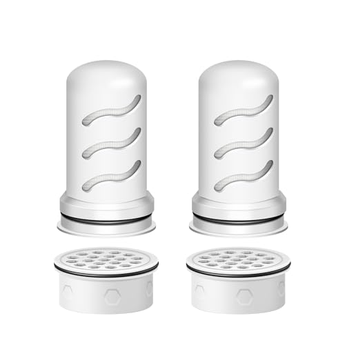 Water Filter Replacement for LS Home Dispenser 18 C