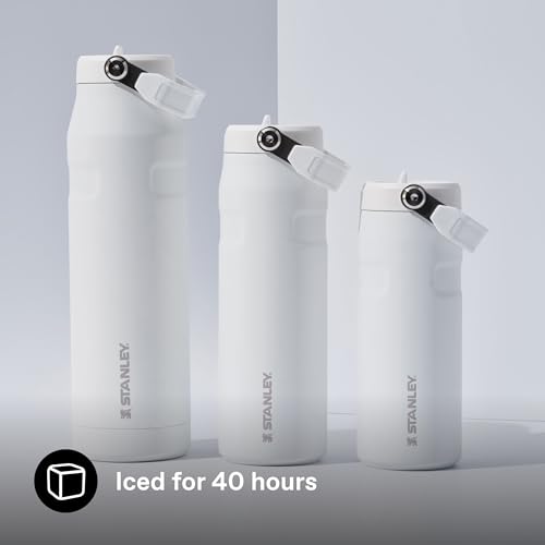 1913 Flip Straw Sports Water Bottle 0.47L