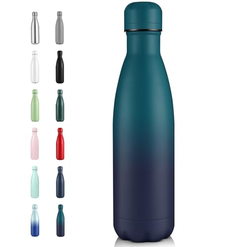17oz Insulated Stainless Steel Water Bottle