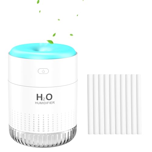 10 Pieces Humidifier Sticks Filter (10 Count)
