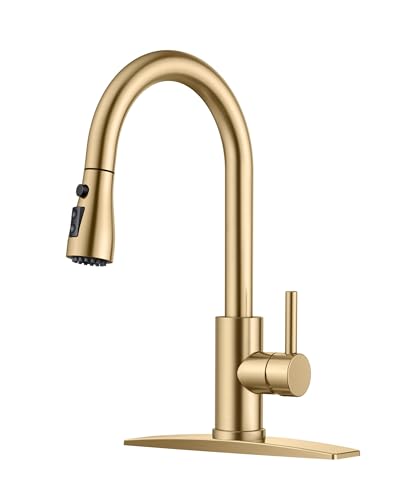 Kitchen Faucet with Pull Down Sprayer