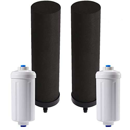 Black Water Filtration System with Fluoride Filters for Purification