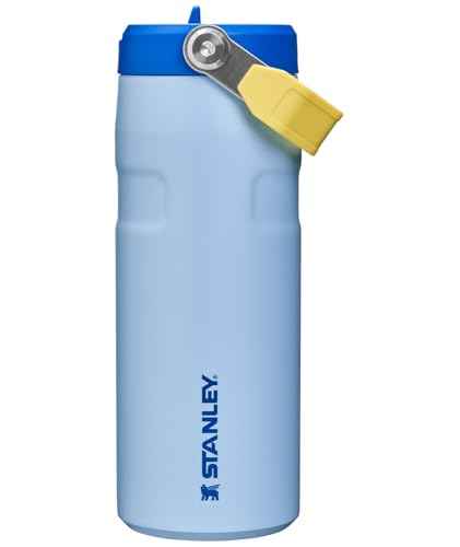 IceFlow Flip Straw 2.0 Bottle