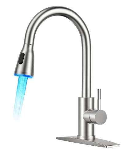 Kitchen Faucet with LED Light Sprayer