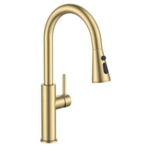 Kitchen Faucet with Pull Down Sprayer