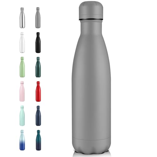 17oz Insulated Stainless Steel Water Bottle