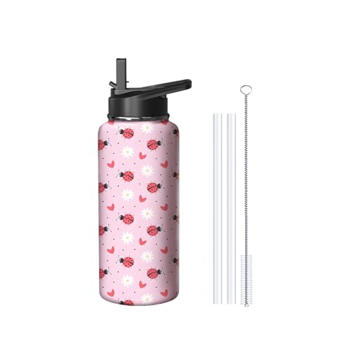 18oz Ladybug Water Bottle with Handle and Flip Straw
