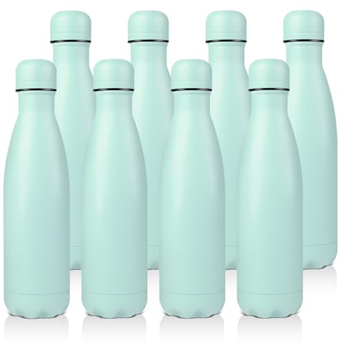 17oz Stainless Steel Water Bottles Bulk (8 Count)