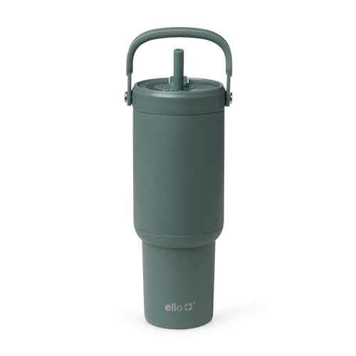 Oasis Go+ 26oz Insulated Stainless Steel Tumbler with Straw