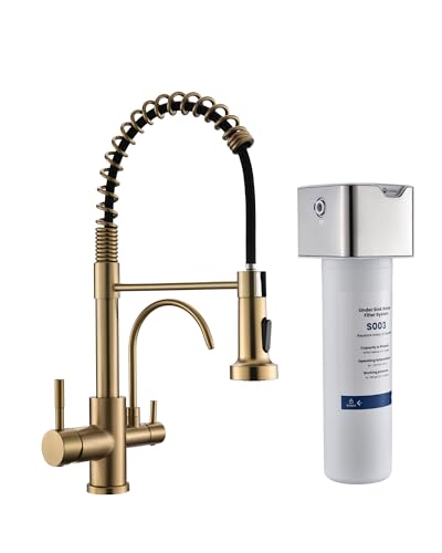 3 in 1 Kitchen Faucet with Pull Down Sprayer Brushed Gold