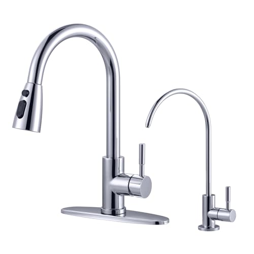 Kitchen Faucet and Water Filter Faucet Combo