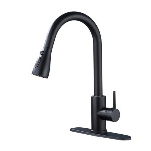 Kitchen Faucet with Pull Down Sprayer