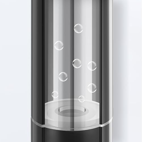 ZFFQ 500 Hydrogen