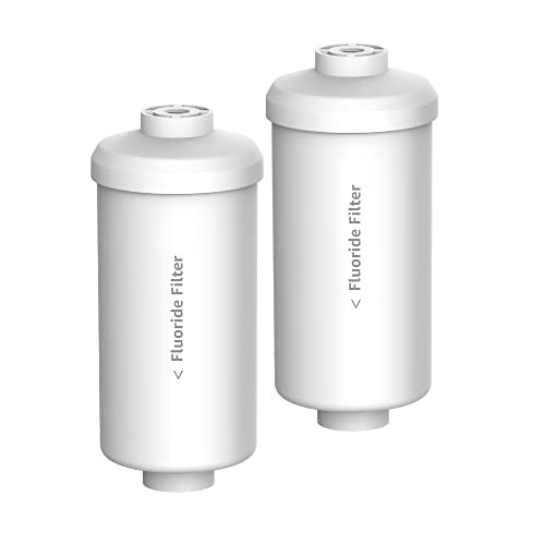 Fluoride Water Filter (2 Count)