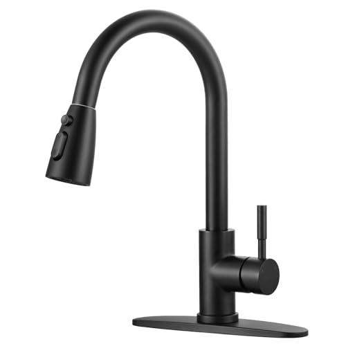 Black Kitchen Faucet with Sprayer