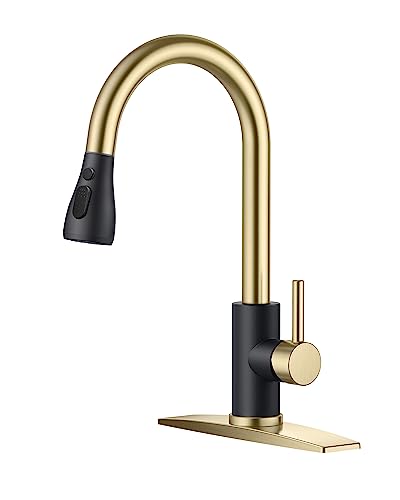 Kitchen Faucets Pull Down Sprayer